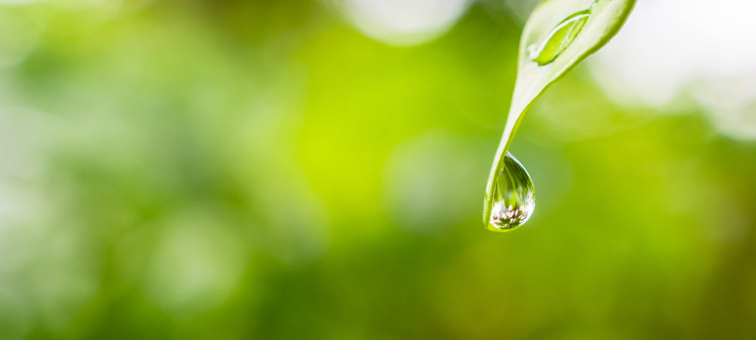 Earth Day 2026