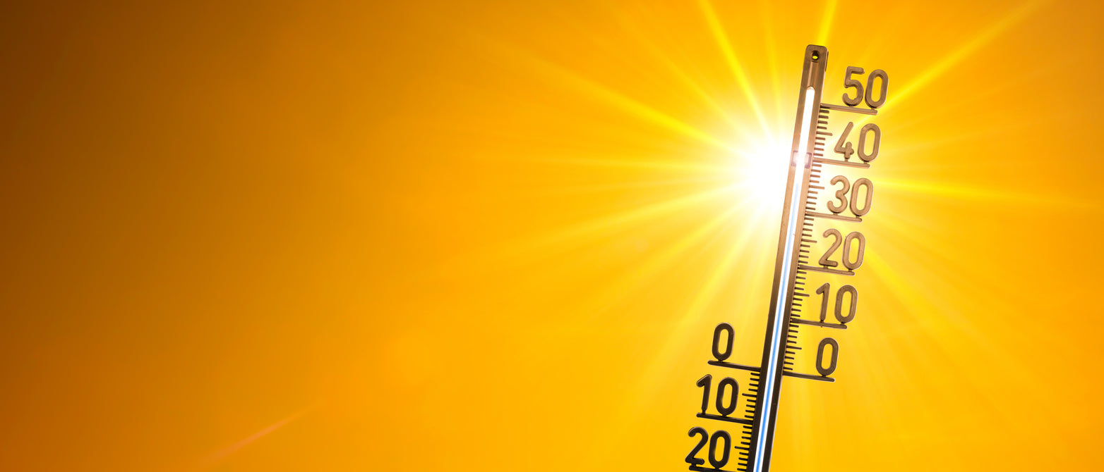 Preparing for Drought