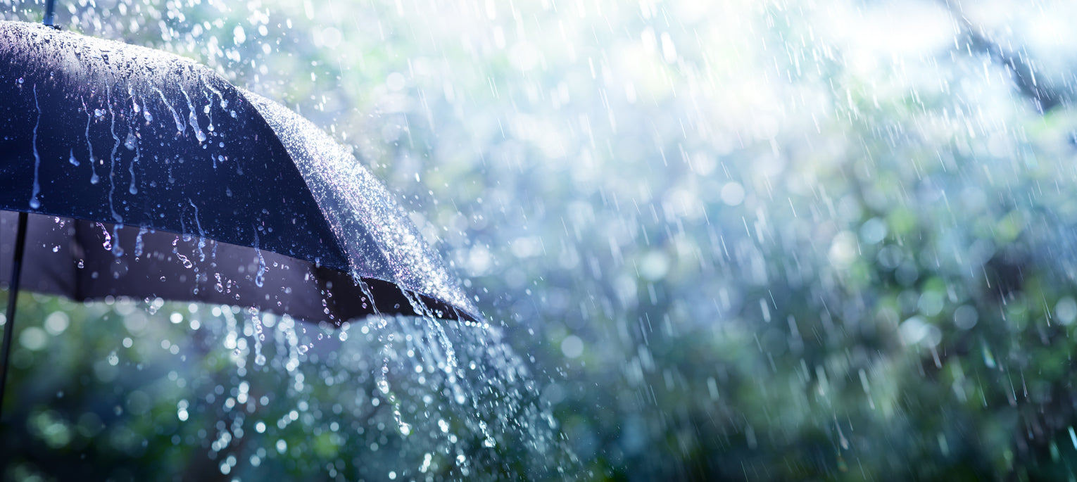 What is El Niño, and how will it affect me?