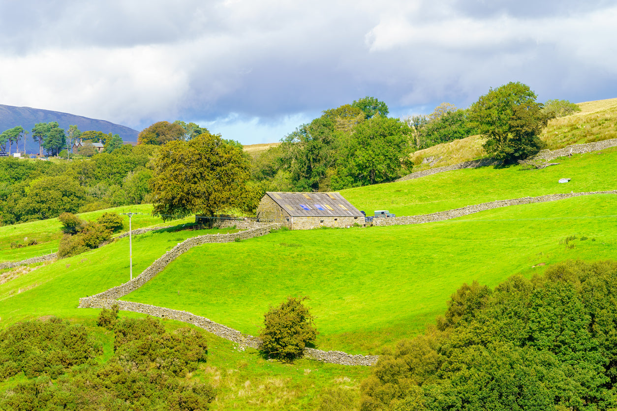 Green landscape with a remote house on a hill under a cloudy sky