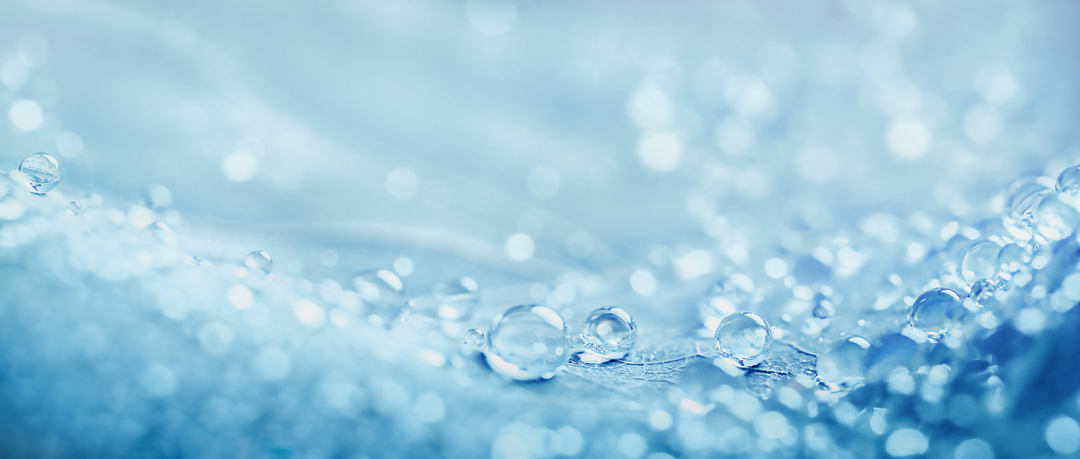 Close-up of water droplets on a blue background